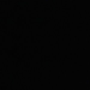 Meet your Posher, Brody